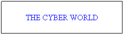 Text Box: THE CYBER WORLD
